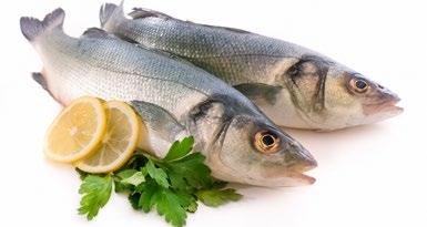 FISH Fresh Fish (whole & fillets) Fresh fishes are generally classified as white fishes and oily fishes. CME supplies all range of imported fishes from Europe.