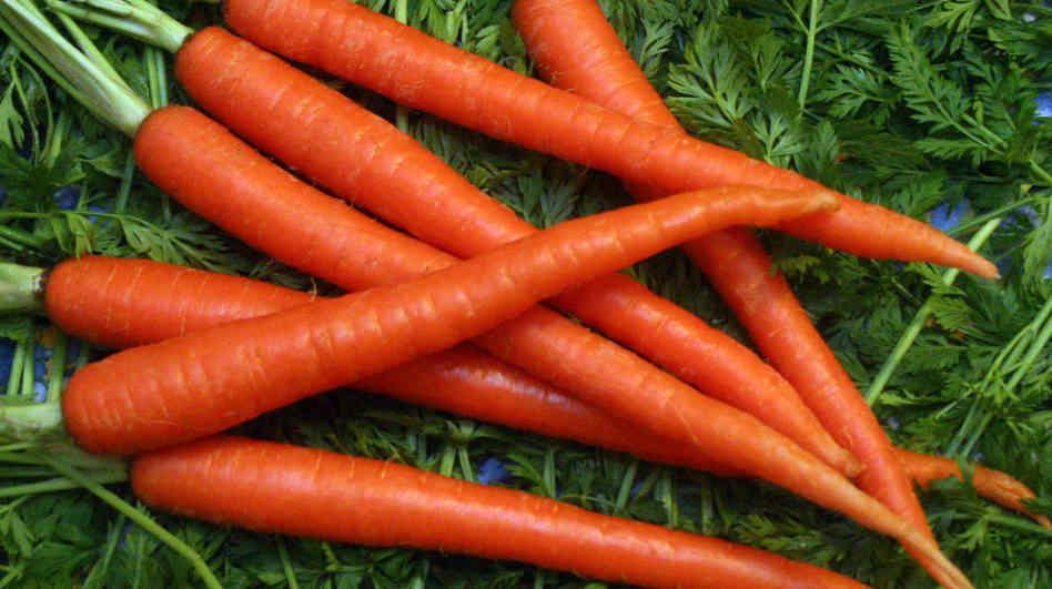 A PROFILE OF THE SOUTH AFRICAN CARROT MARKET