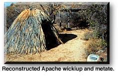 Navajo and Apache The Navajo shared the same language with the Apache.