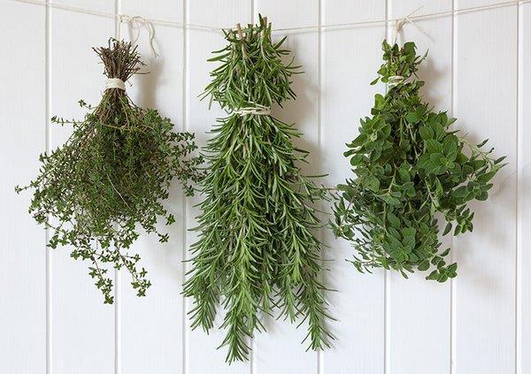 Herbs Leaves and stems of certain plants Used to flavor