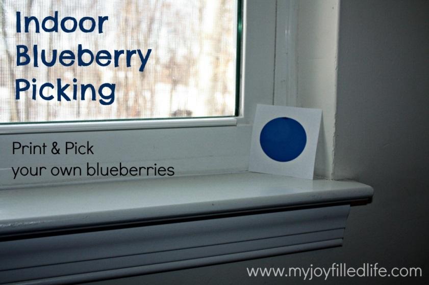 Rainy Day Indoor Blueberry Picking Hide-and-Seek! When it rains and you can t go outside, perhaps take your kids on an Indoor Blueberry Picking hide-andseek!