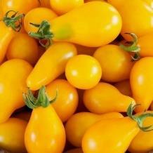 Speckled Roman Paste Beautiful pink-red paste tomatoes with yellow-orange