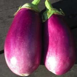 Eggplants Diamond Dark purple, mild in flavor and easy to grow!