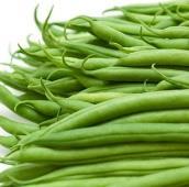 bean. Produces 2 big flushes of beans before retiring for the