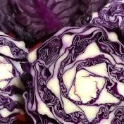 Leafy Greens, Kale and Onions Cabbage: Ruby Perfection Heading