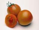 Typically a 'cat's eye' star of yellow on one end of fruit. The delicious sweet taste is rich and fruity.