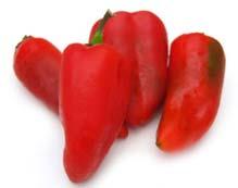 These are wonderful tasty peppers great for stuffing, salads, roasting or grilling.