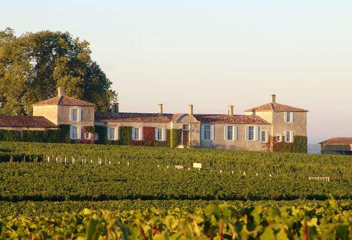 France - the Bordeaux Vineyards Hiking Tour 2018 Individual Self-Guided 8 days/7 nights OR 7 days/6 nights Self-guided hiking tour across some of the most famous vineyards of the world.