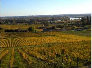 vineyards UNESCO inheritance 10 or 15 km +/- 70 m You will begin your week with a hiking day in the jurisdiction of St. Emilion.