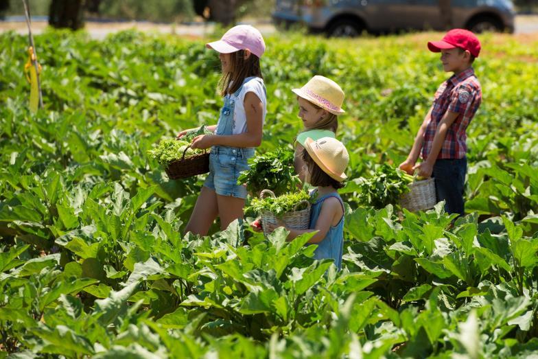 LITTLE GARDENERS Blessed with fertile soil and an excellent climate, Messinia has