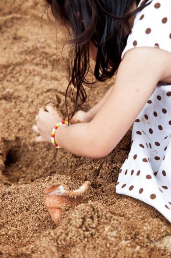 This fun learning opportunity by the Sandcastle is ideal for children aged 4-11, who can go on