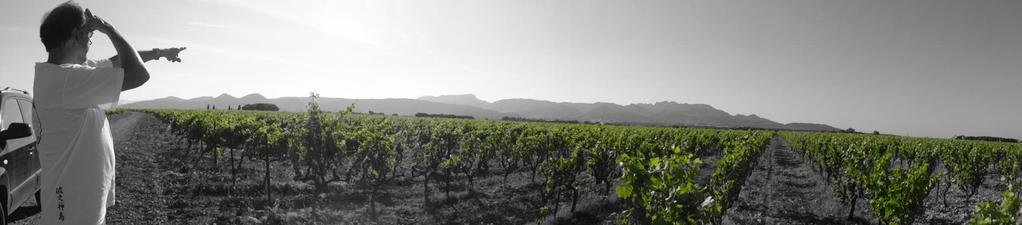 3. One estate, three terroirs The vineyards of 87 hectares extends from Plan de Dieu to Les Dentelles de Montmirail.