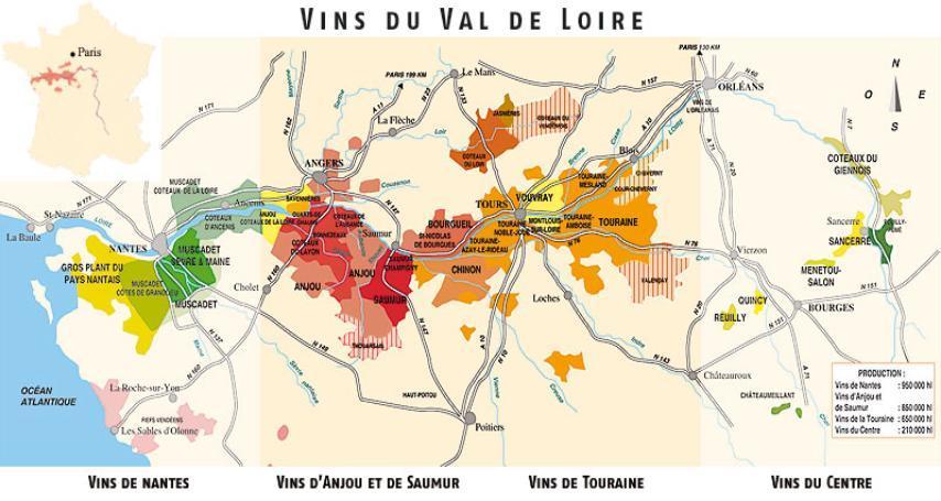 Loire Reds: Cabernet Sauvignon, Merlot, Cabernet