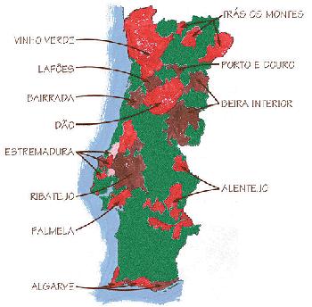 Portugal Vinhos