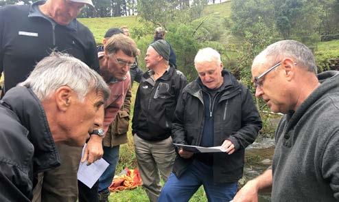 In 2015, 12 dairy farmers started the Nukuhou North and Waiotahi River Streams Group, aiming to improve the sustainability of their farming operations.