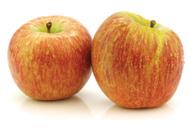 FRUIT Apples-Akane Apples-Braeburn Apples-Cameo