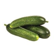 Cucumber-Mini