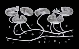 WATERLILIES introduced in 2002 designed by: vera mauricová FLORA & FAUNA This elegantly refined motif depicts water lilies intertd in a delicate pattern.
