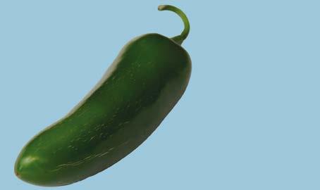 UNECE Explanatory Brochure on the Standard for Chilli Peppers