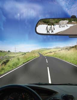 Using more energy efficient products will help prevent climate change, resulting in keeping arctic animal habitats around. Objects in mirror are closer than they appear.