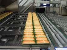 heat exchange Possibility of fully automated recipe management Different solutions for proofing are available: Stabilized tray proofers for freestanding bread Swing