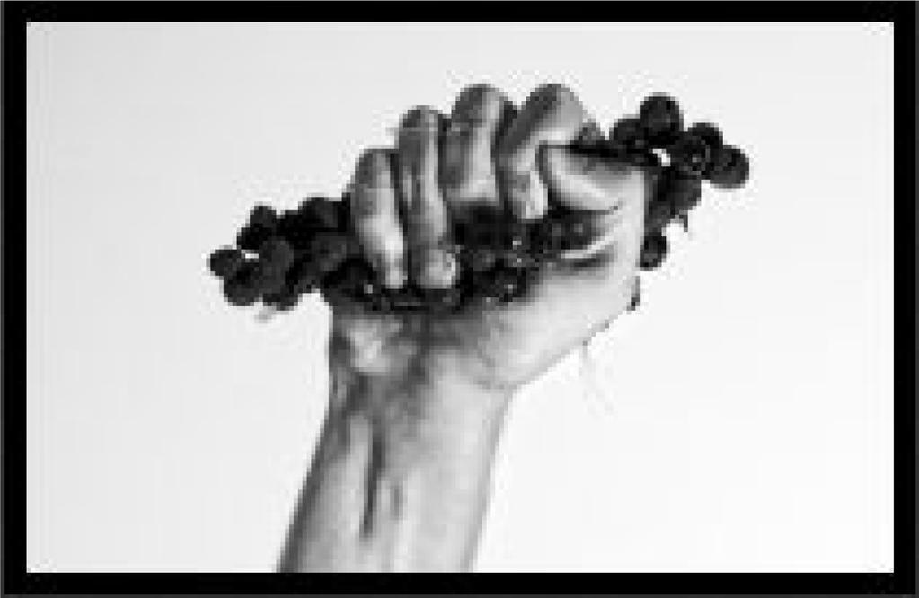 About Merchant23.com Merchant23 is a peer-to-peer (p2p) community marketplace for the wine trade. We are passionate pros with our ears to the street!