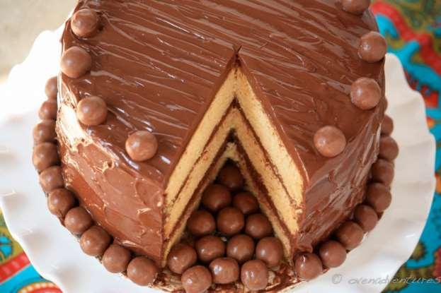 9. CHOCOLATE MALT CAKE For the Cake Batter: 2¼ cups all-purpose flour 1¼ cups sugar ¾ cup unsweetened cocoa powder 1½