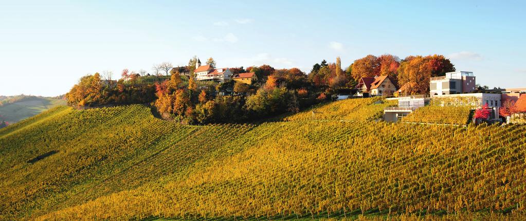 Weingut Tement Südsteiermark The Tement winery has recorded an increasing success in the last three decades. Manfred Tement has steadily expanded his business.