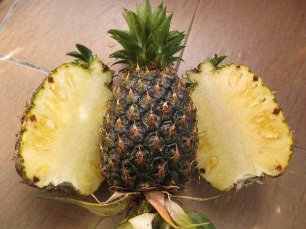 Description The pineapple looks very similar to the pinecone, very popular all over the world for its sweet and tart flavour. Growth Habitat The pineapple is a tropical or near-tropical plant.
