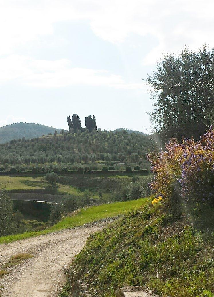 TREKKING The estate offers various opportunities for those who are looking for relaxing walks surrounded by nature and the typical Chianti landscape.