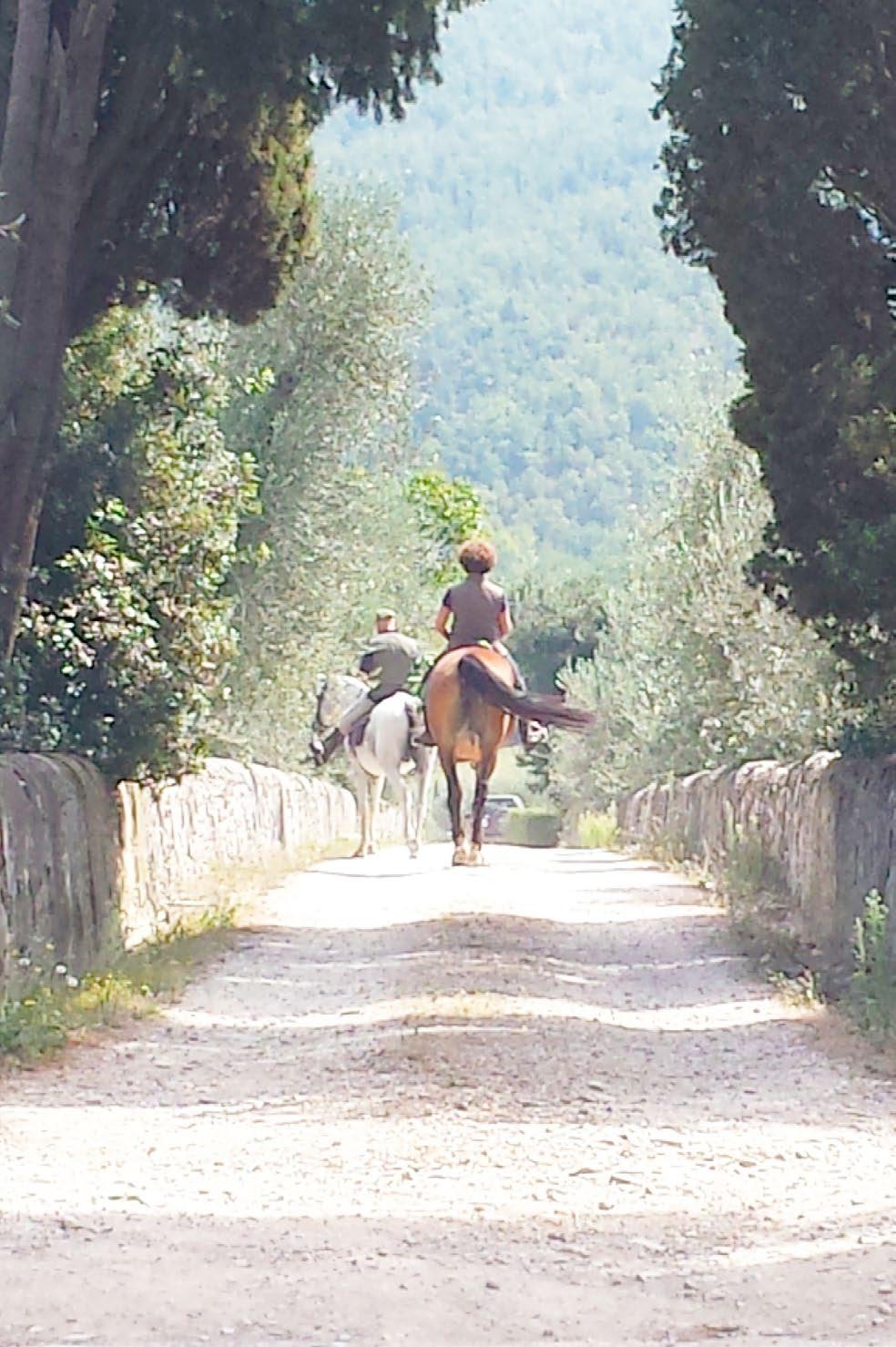 HORSE RIDING Torre a Cona offers its guests the possibility of touring the Estate with horse riding guided excursions suitable for both beginners and experts.
