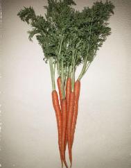 Carrots Vitamin A.