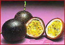 Passionfruit Where to plant: Full Sun When to plant: All year HOW TO SOW Depth:5cm Plant Spacing: 10 metres apart Time until harvest: 1-2 years Height of mature plant: 5m Width of mature plant: 5m