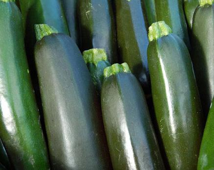 Zucchini Vitamin A, C, Calcium and Iron and Dietary Fibre Where to plant: Full Sun When to plant: Dry Season April May June HOW TO SOW: direct into well-prepared bed or seedlings Depth: 20mm Plant