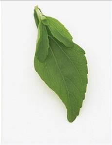 Sweetness Improving Technology (SIT) for Stevia Advantages of Stevia - natural sweetener -