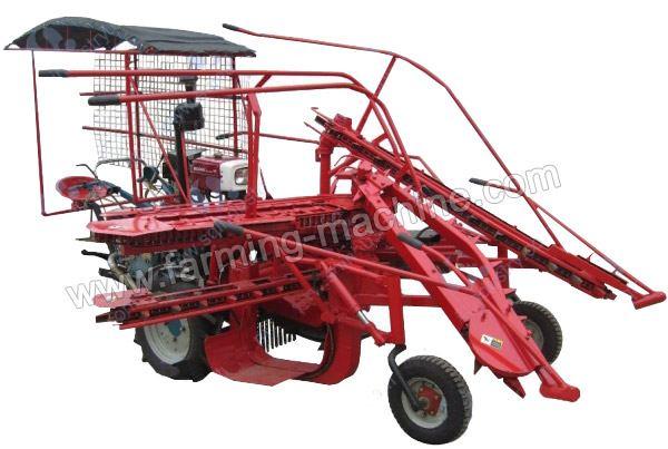 Mini sugarcane harvester can adapt to different land forms.