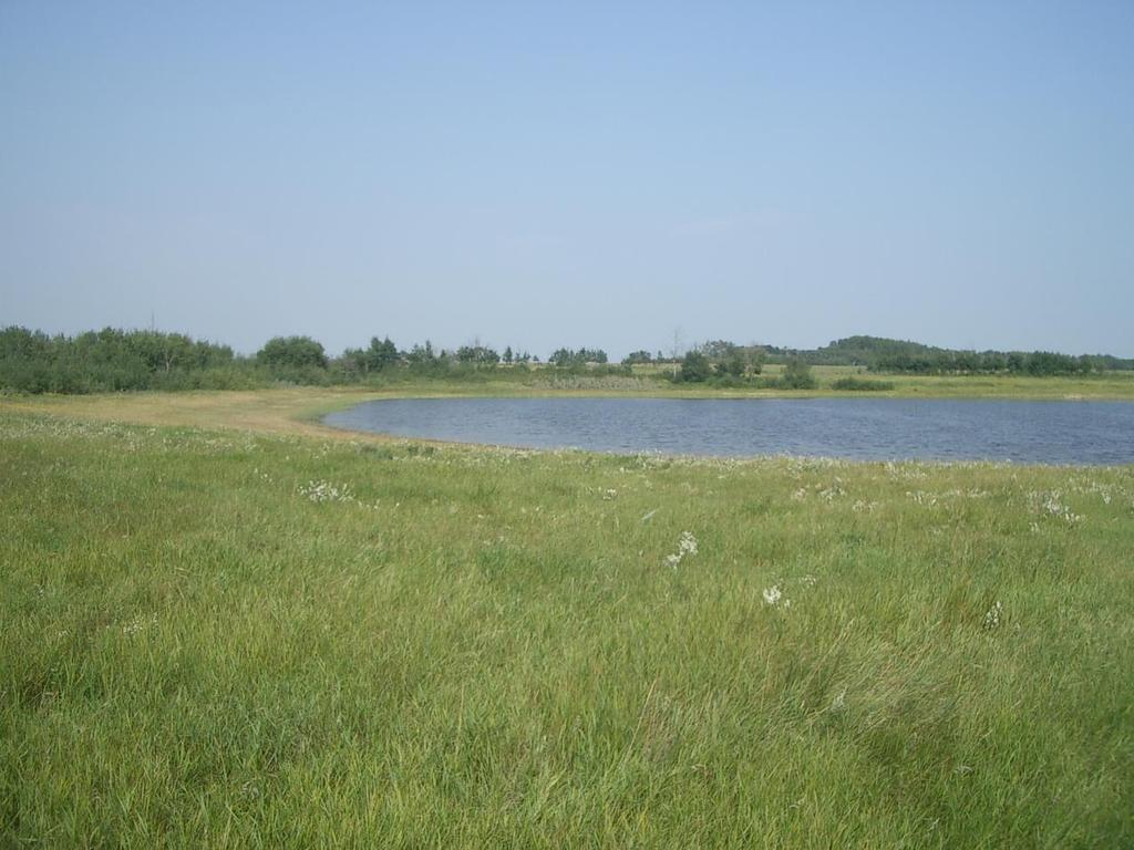 Saskatchewan Rangeland Ecosystems Publication 14 Communities