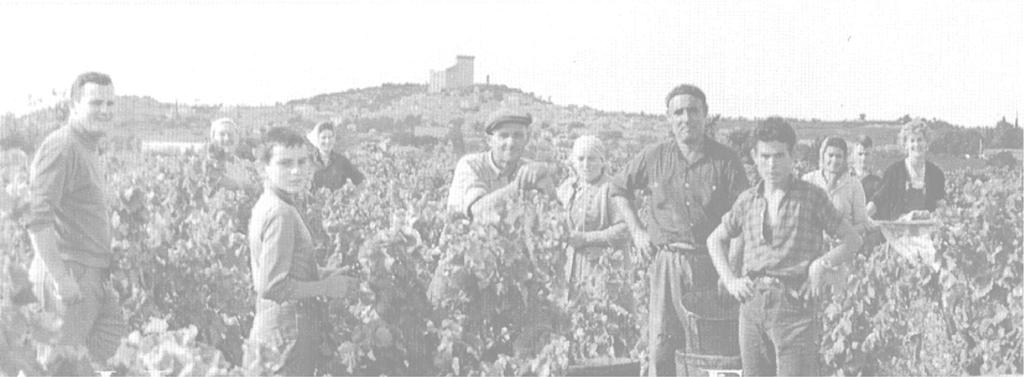 OUR HISTORY SINCE 14TH CENTURY. The domaine or wine estate saw the light of day thanks to Pierre and Mireille s zeal and two families coming together.