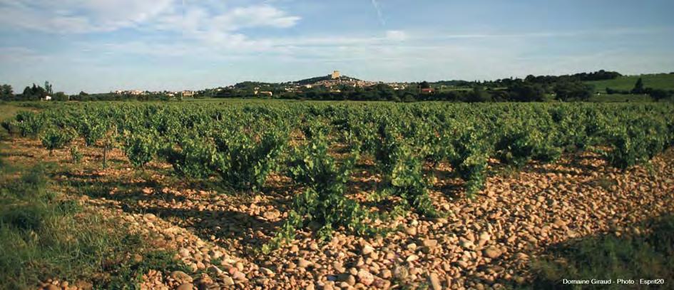 OUR DOMAINE : 19 Hectares THE GALLIMARDES AREA AREA :