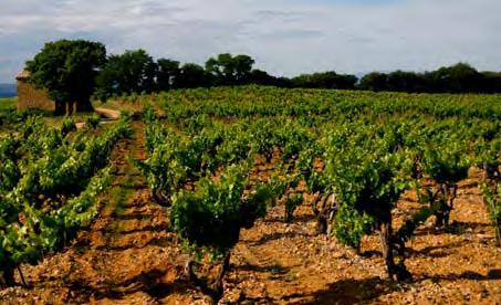LES TRESQUOYS : TERROIR : clay soils mixed with this rich earth so typical of the appellation.