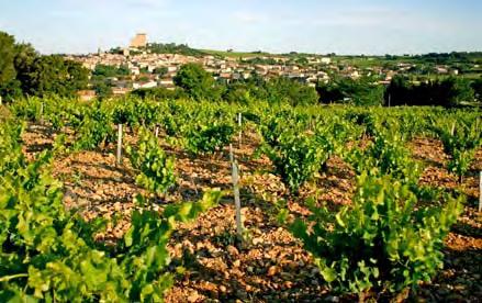 LES CABRIÈRES : TERROIR : clay soils mixed with this rich earth so typical of the appellation.