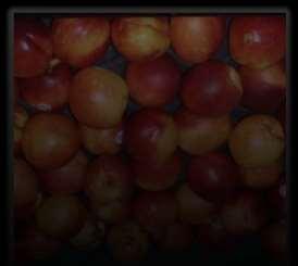 PROBLEMS MARKETING AND CONSUMER ACCEPTANCE Some buyers just don t like nectarines bias; A perception that a nectarine is not