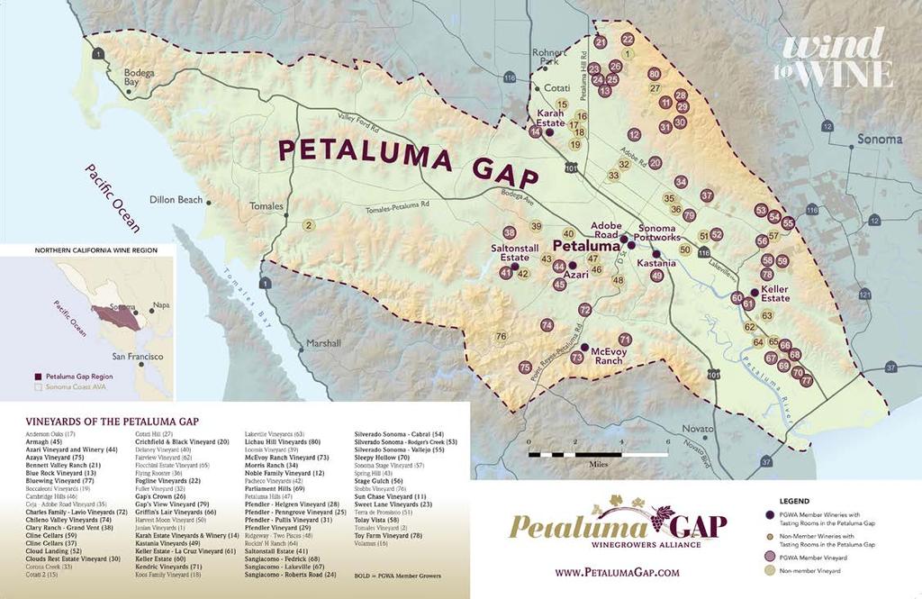 The property is within the Petaluma Gap AVA, a sub region of the Sonoma Coast AVA.