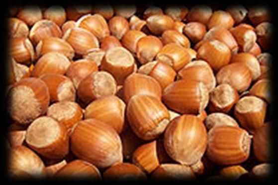 Almonds Walnuts Pistachios Cashew Pecans Brazil nuts