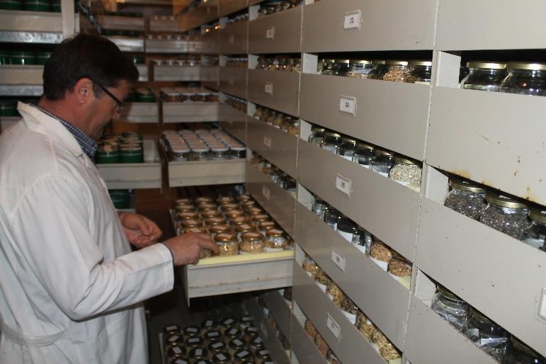 934 at National Seed Gene Bank and Turkey Seed Gene Bank The