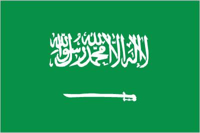 Market Brief on Saudi Arabia March 2017 Saudi Arabia is the 25th largest export economy in the world and the 29th most complex economy according to the Economic Complexity Index (ECI).