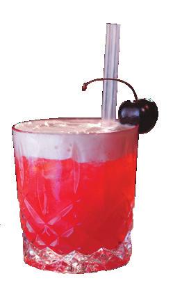 Brizard Gomme Cranberry Juice Eager MOJITO 30ml