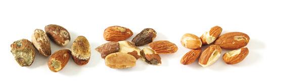 to the application US EXTRA NO 1 Similar to US Fancyideal for food applications where the appearance of the almond is very