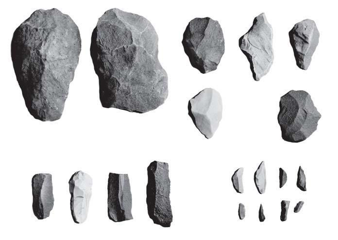 A C Some uses of stone tools are given below.