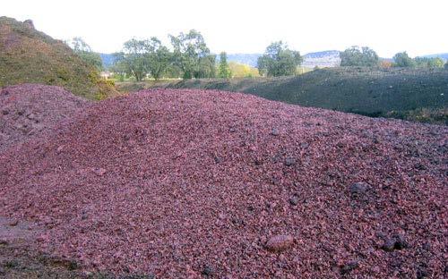 Grape pomace The by-product after grape pressing and wine/grape juice collection that contains grape seeds, skins, and/or stems.